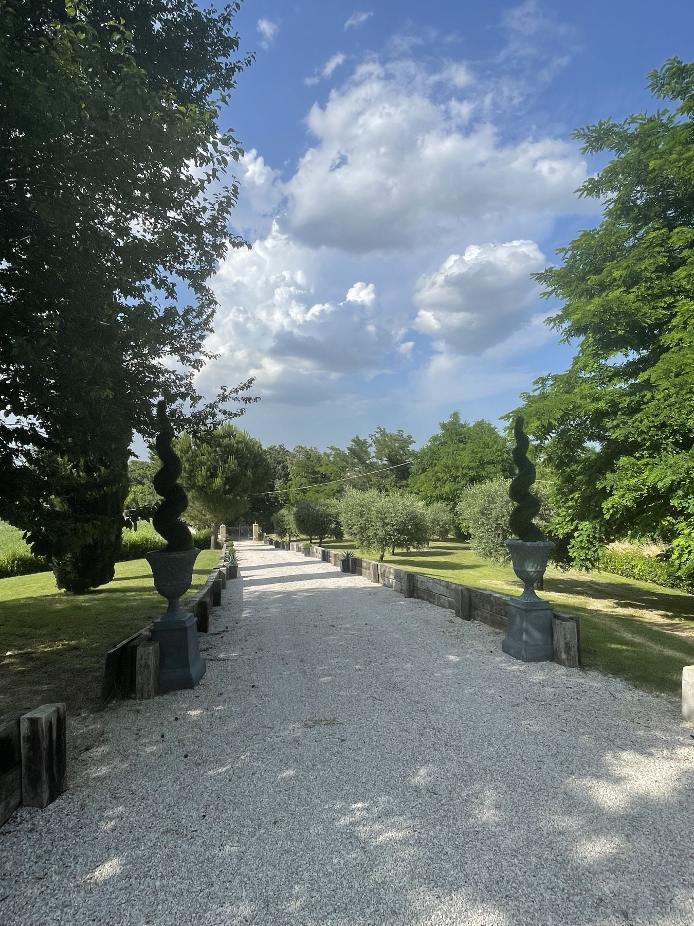 The tree-lined drive