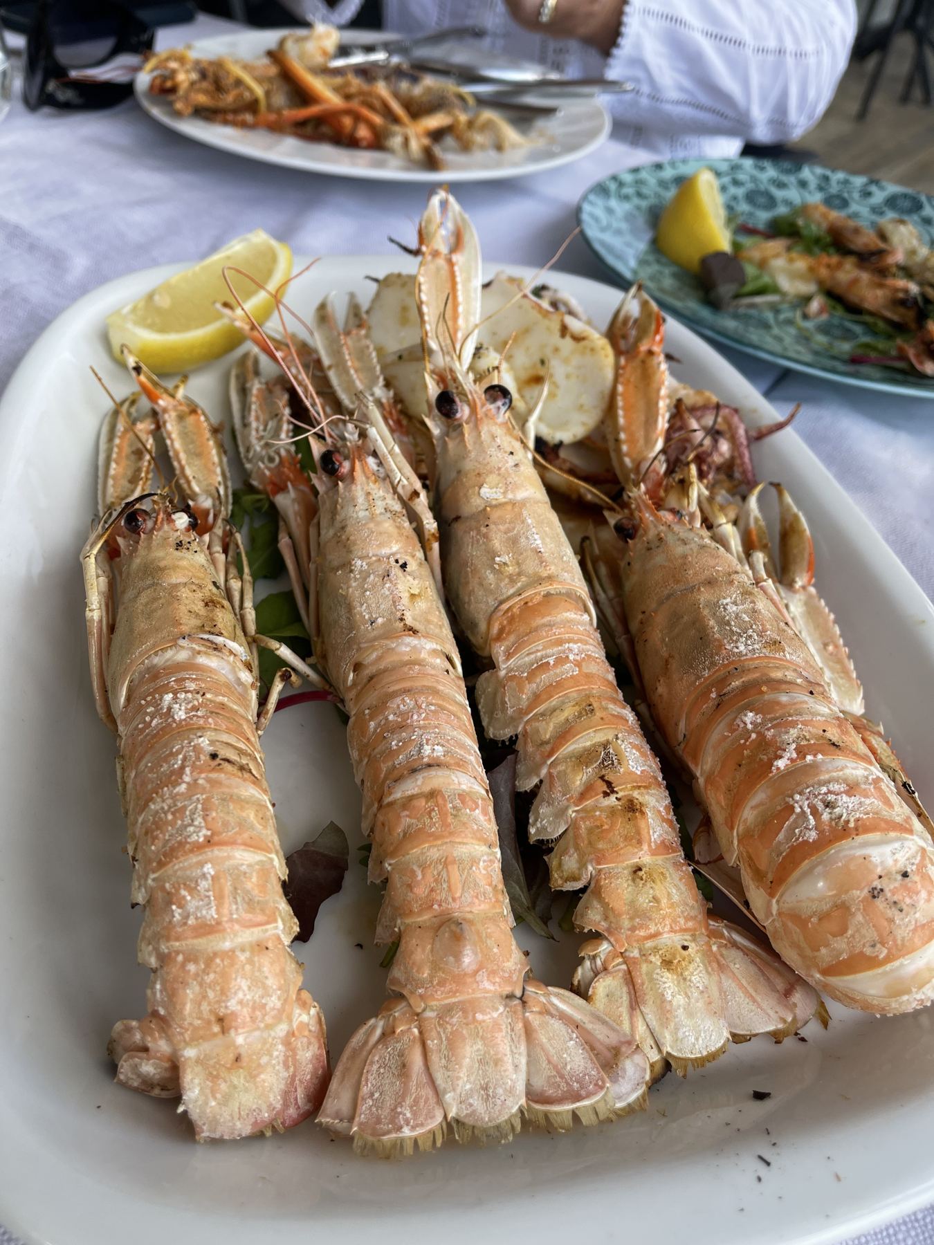 Langoustines from the Adriatic